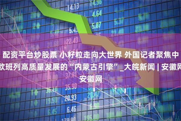 配资平台炒股票 小籽粒走向大世界 外国记者聚焦中欧班列高质量发展的“内蒙古引擎”_大皖新闻 | 安徽网