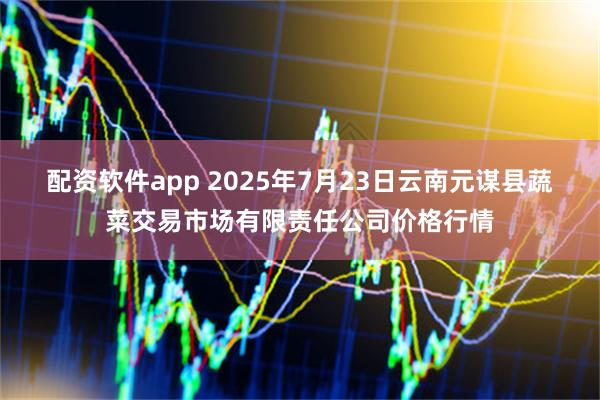 配资软件app 2025年7月23日云南元谋县蔬菜交易市场有限责任公司价格行情